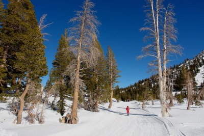 Favorites - Mammoth slopes