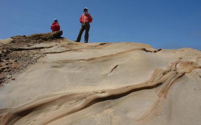 Trip to San Francisco - Point Lobos reserve