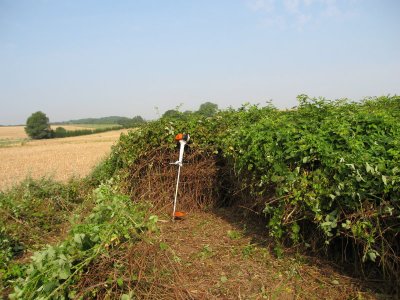 bertem_jan_07