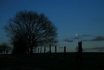 Kh20070302 (12).JPG