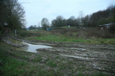 kh20071214 (7).JPG