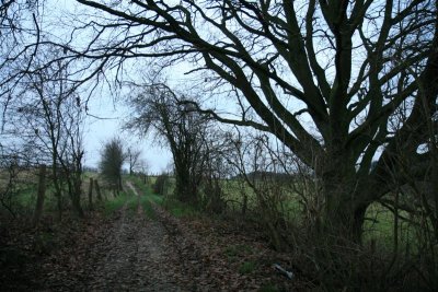 kh20071214 (8).JPG