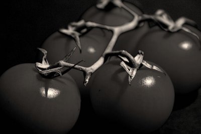BW Still Life & Abstract