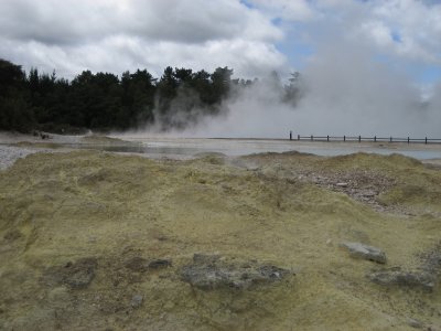 Wonderland of Rotorua