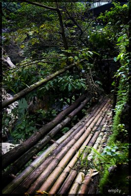 Bamboo copy.jpg