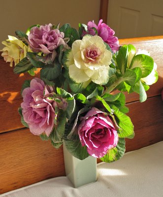 Not Roses