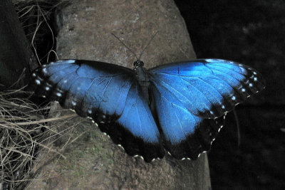 g6/86/100786/3/74477930.owYcaBKl.jpg