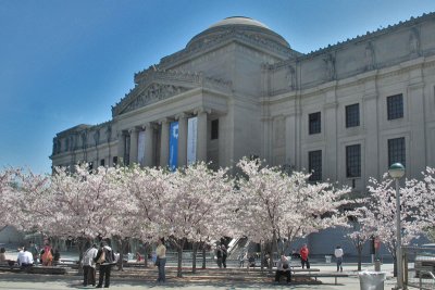 BrooklynMuseum1655w.jpg