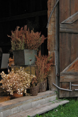 BarnDoor2927w.jpg