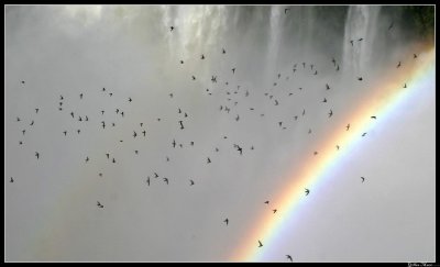 Iguazu Falls, Argentina 6328.jpg