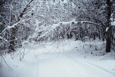 Talv - Winter 2005