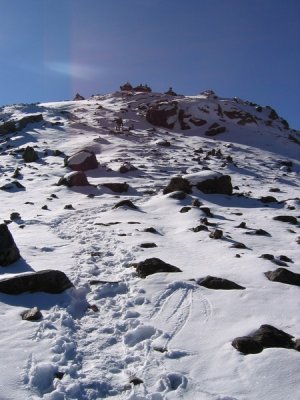 LAUREBINA LA 4600 m