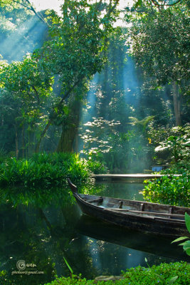SpiceGdn 001-resize.jpg