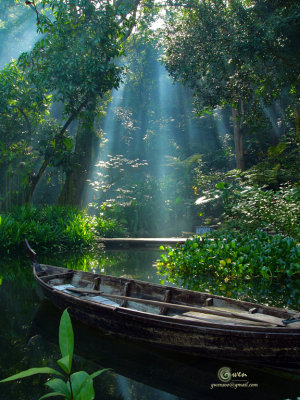 SpiceGdn 002-resize.jpg