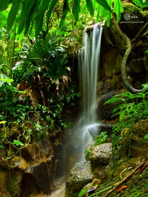 SpiceGdn 004-resize.jpg