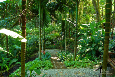 SpiceGdn 008-resize.jpg