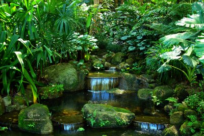 SpiceGdn 009-resize.jpg