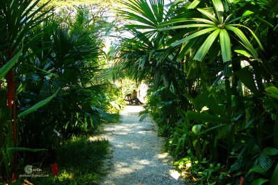 SpiceGdn 010-resize.jpg