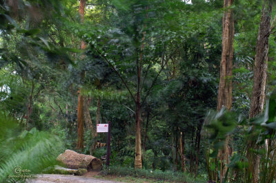 SpiceGdn 012-resize.jpg
