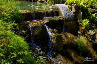 SpiceGdn 014-resize.jpg