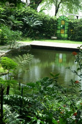 SpiceGdn 015-resize.jpg