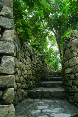 SpiceGdn 016-resize.jpg