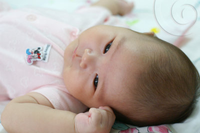 Image-003