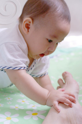 Image-008