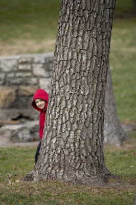 jbob_fall_pics
