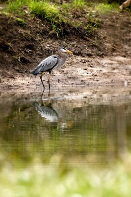 _MG_6901-Edit.jpg