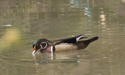 _MG_6882-Edit.jpg
