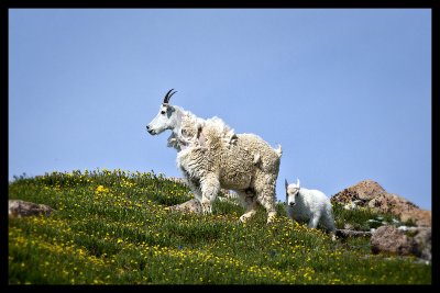 _MG_8486-monitorweb.jpg