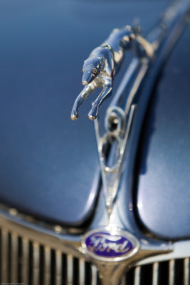 _K7Q9111.jpg