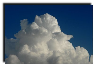 DSC_8433.jpg