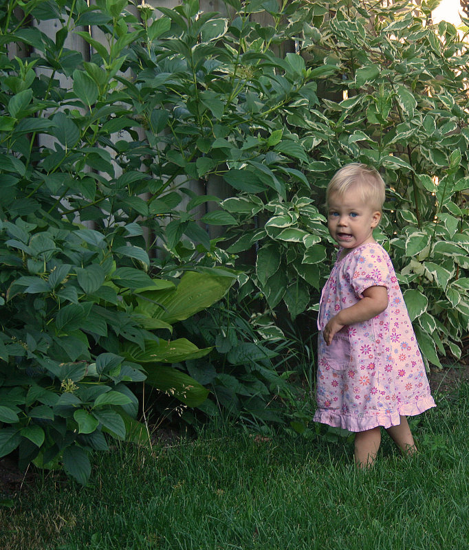 July 29 2007