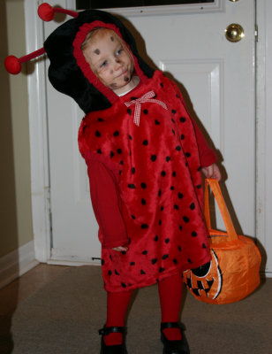 October 31 2006