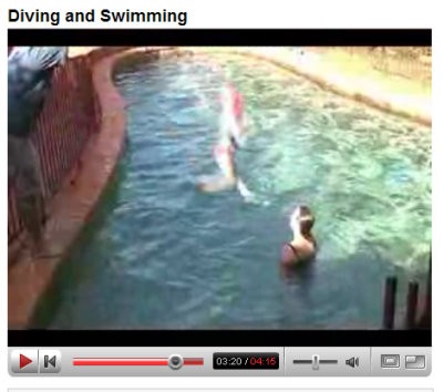 March 31 2007 (Video)