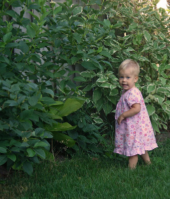 July 29 2007