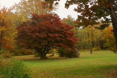 Eckley Village in Fall