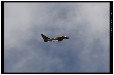 4447.jpg