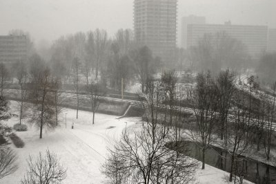 Winter Febr. 2007.jpg
