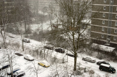 Winter Febr. 2007.jpg