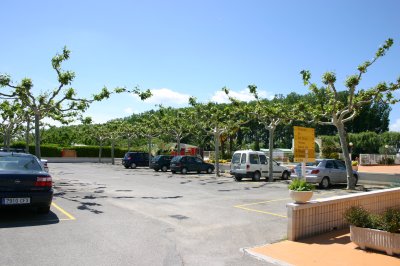 IMG_2082.JPG