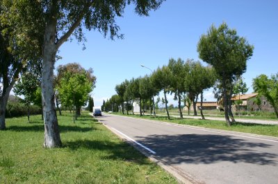Road to Beach.