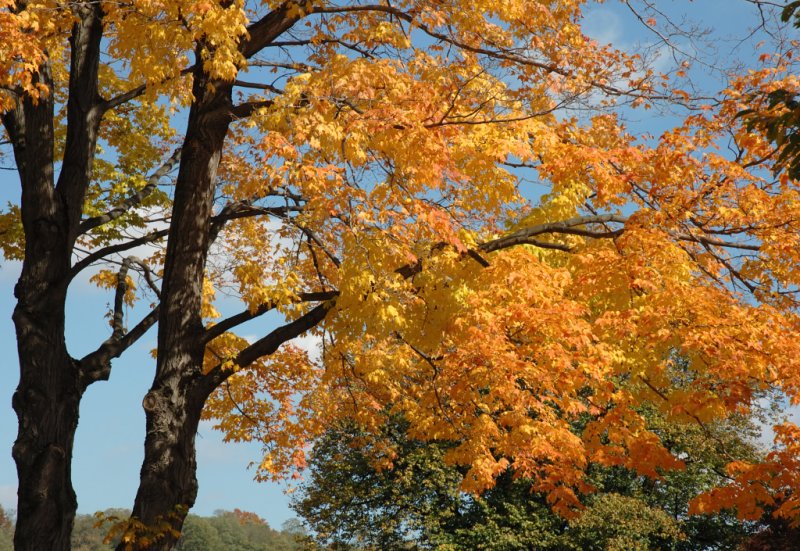 DSC_7420.jpg