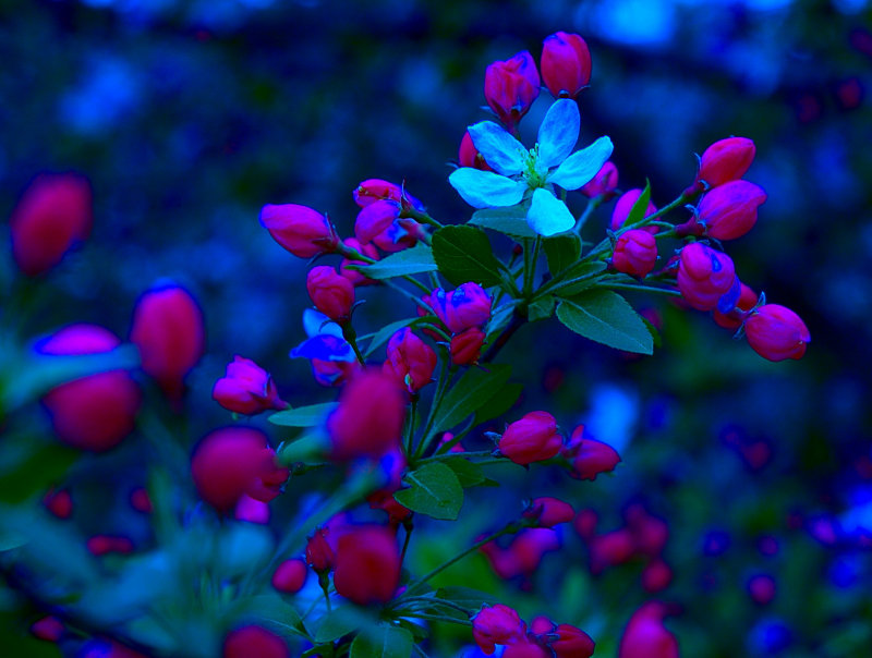 DSC_5671.jpg