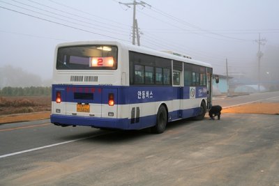 bus that took me to 翪