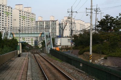 students going to school