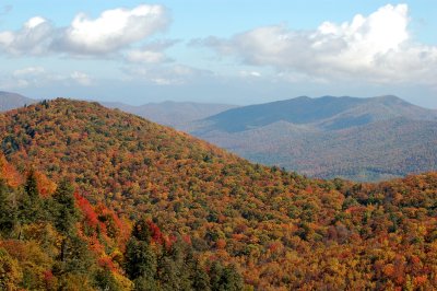 NC-FALL2006-3.JPG