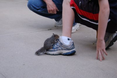 Squirrel-6.JPG